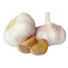 buy fresh purple chinese wholesale hot selling garlic for the international market in china from colombia